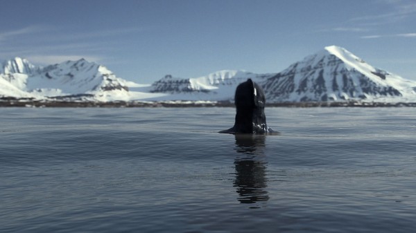 Mermaids: The Body Found - 2012