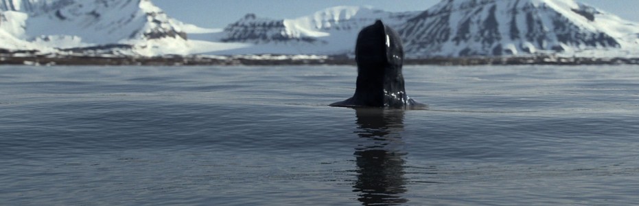 Mermaids: The New Evidence' proves one thing: I want to believe - Hollywood Soapbox Mermaids: The New Evidence' proves one thing: I want to believe - Hollywood Soapbox