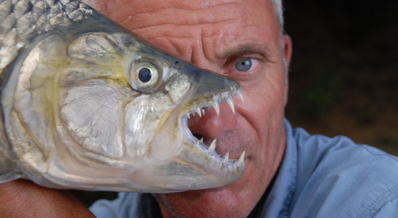INTERVIEW: Jeremy Wade says goodbye to 'River Monsters