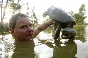 Call of the Wildman - Turtleman - 2012