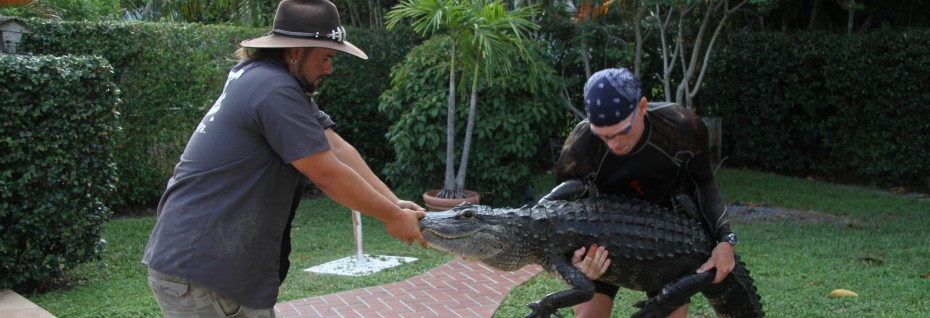 Gator Boys - Bedard and Riffle - Animal Planet - 2012 - Hollywood Soapbox