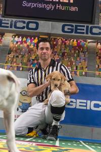 Dan Schachner, ref of 'Puppy Bowl IX' — Photo courtesy of Animal Planet / Keith Barraclough