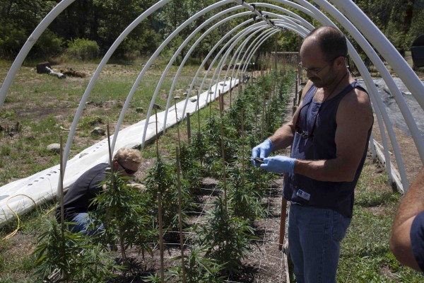 Growers on 'Weed Country' — Photo courtesy of Discovery Channel