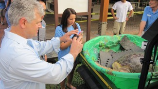 Mat and Caitlin Roy snap pictures of a sea turtle returning to the ocean — Photo courtesy of NGC / Sharp Entertainment