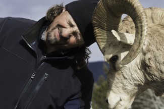 Casey Anderson goes head to head with 'Roosevelt,' a bighorn decoy — Photo courtesy of Grizzly Creek Films / Avela Grenier