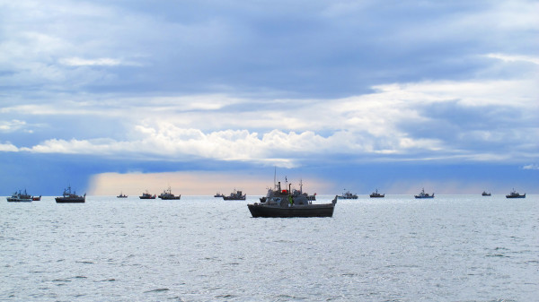 A storm brews on an episode of Alaska: Battle on the Bay — Photo courtesy of Animal Planet