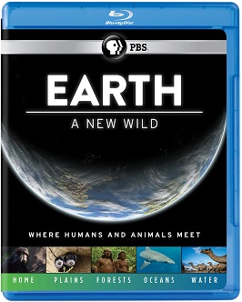 Earth: A New Wild is now available on DVD and Blu-ray — Cover art courtesy of PBS