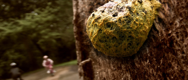 Yep, that's slime mold. Courtesy of Cinema Iloobia/Ryan Bruce Levey Film Distribution.