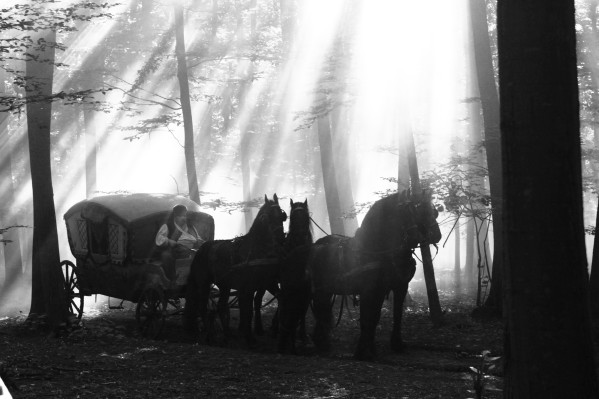 Aferim! was the official Romanian entry for the Academy Awards. Photo courtesy of Big World Pictures.