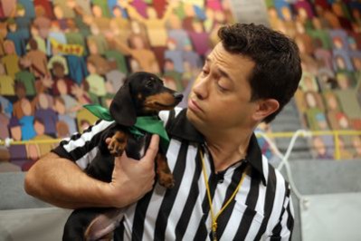 Referee Dan Schachner tries to keep some order at Puppy Bowl. Photo courtesy of Animal Planet.