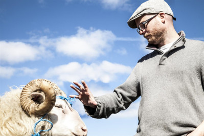 Rams director Grímur Hákonarson worked with live sheep during the making of the film. Photo courtesy of Cohen Media Group.