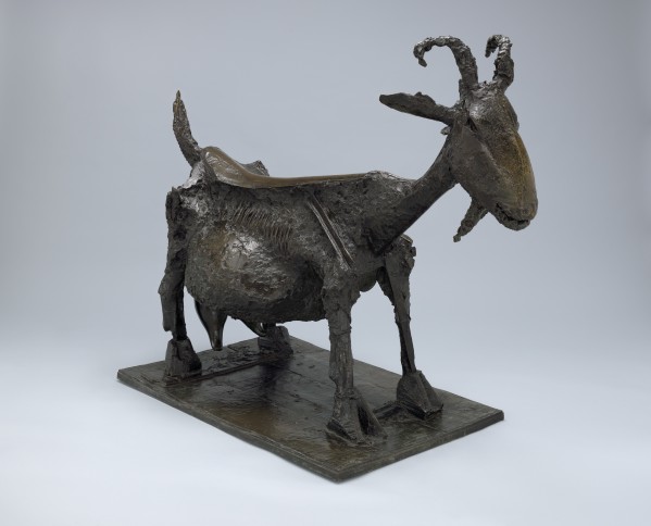 Pablo Picasso (Spanish, 1881–1973) She-Goat. Vallauris, 1950 (cast 1952). Bronze. 46 3/8 x 56 3/8 x 28 1/8″ (117.7 x 143.1 x 71.4 cm). The Museum of Modern Art, New York. Mrs. Simon Guggenheim Fund. © 2015 Estate of Pablo Picasso / Artists Rights Society (ARS), New York.