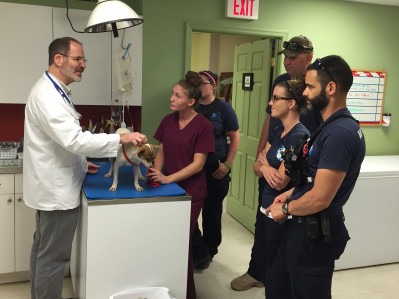 From left to right, Dr. Noel Berger gives an assessment of the pregnant chihuahua rescued by the team. Also pictured are Noel's Vet Tech, Alex Ard, Leigh Ann Bennett, Erik Fox, Karissa Hadden and Dustin Feldman.   Photo courtesy of National Geographic Channels/Andrew Lipson.