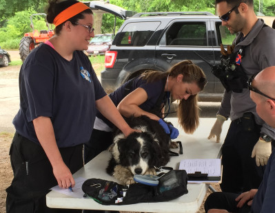 From left, Leigh Ann Bennet, Karissa Hadden, Dustin Feldman and Erik Fox - Karissa Hadden checks a dog brought in by a good Samaritan at the Marshall's office in Van, Texas.   Photo courtesy of National Geographic Channels/Andrew Lipson.