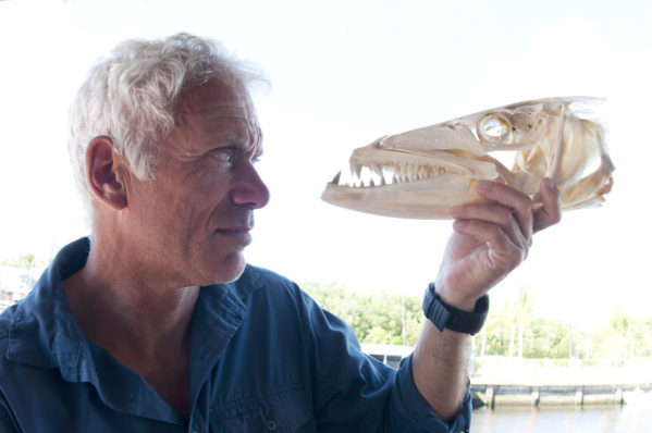 Animal Planet Animal Planet NIKON D90 Jeremy Wade looking at a barracuda skull in Key West, Florida Keys, Miami. 2015-03-20 19:51:43 Discovery Communications f/6.3 1/100sec ISO-200 16mm