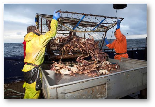 The crews on the Bering Sea are in search for crabs and the money that comes after long, grueling days on the open ocean. Photo courtesy of Discovery Channel.