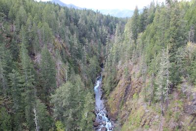 Dark Woods Justice follows sheriff deputies on Washington's Olympic peninsula. Photo courtesy of Discovery Channel.