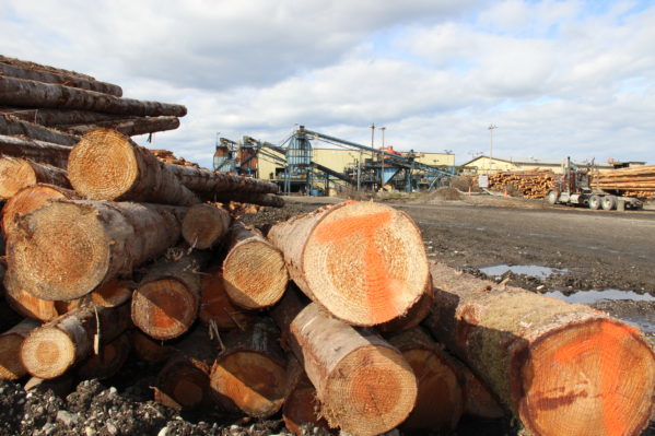 Logs piled up at a lumber mill in Grays Harbor County. Photo courtesy of Discovery Channel.