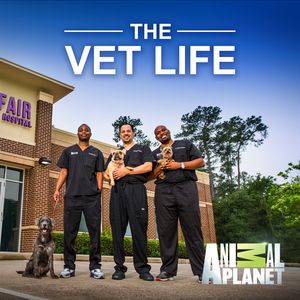 The Vet Life premieres Saturday, June 4 at 10 p.m. on Animal Planet. Photo courtesy of Animal Planet.