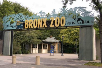 INTERVIEW: Go behind the scenes at the Bronx Zoo in new Animal Planet