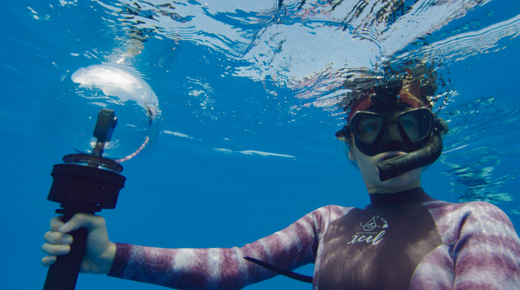 INTERVIEW Sharkfest experts remember when they first fell in love with