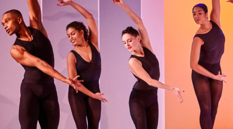 INTERVIEW: Preeti Vasudevan starts choreographic dialogues with her
