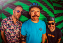 INTERVIEW: And now for something completely different from Badfish