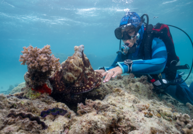 INTERVIEW: Dr. Alex Schnell unearths ‘Secrets of the Octopus’